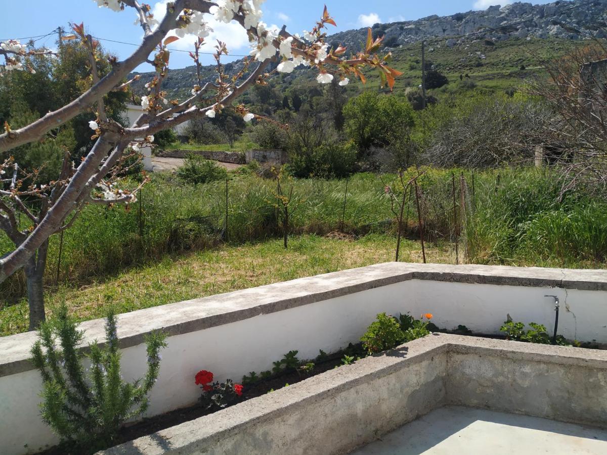 Xenios Z Rustic Rural Cottage Karidi Luaran gambar